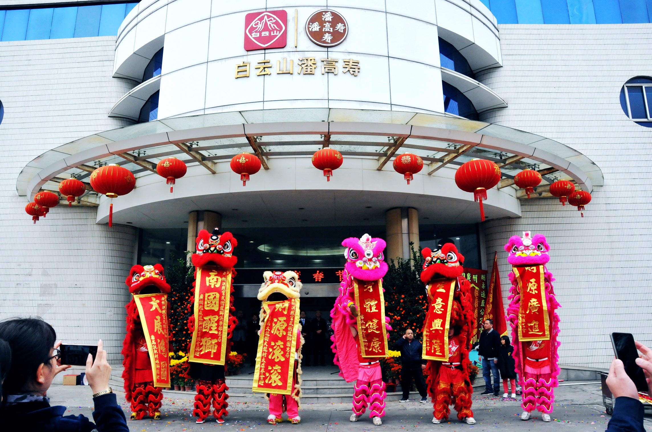 1.醒獅騰躍賀新春.jpg